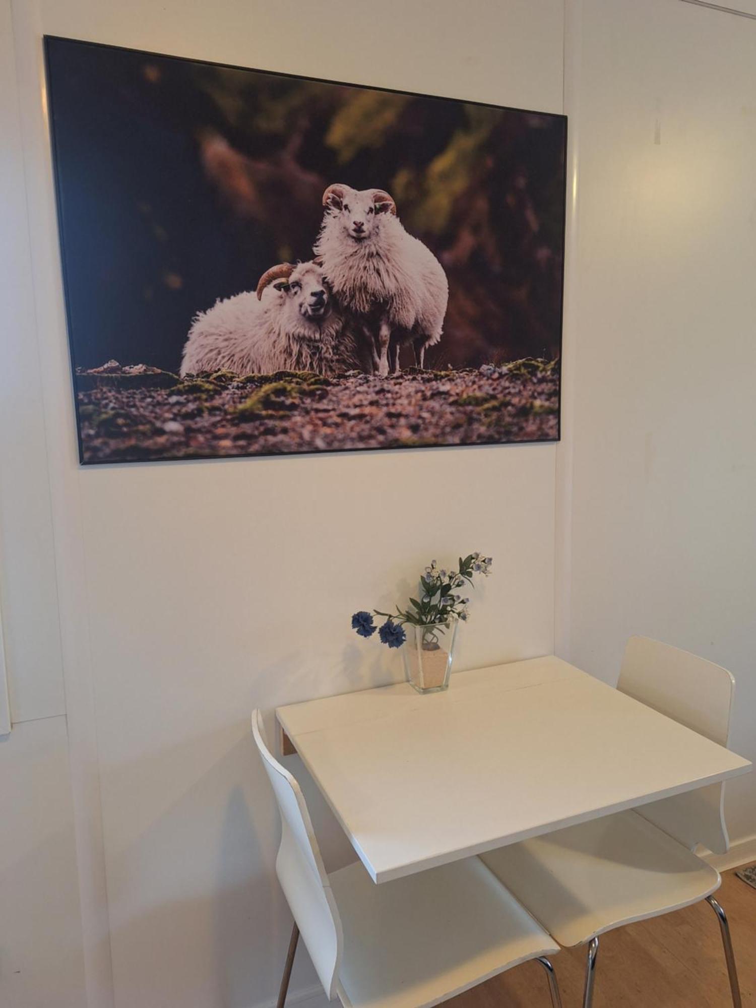 Solvellir Holiday Home Kjosahreppur المظهر الخارجي الصورة